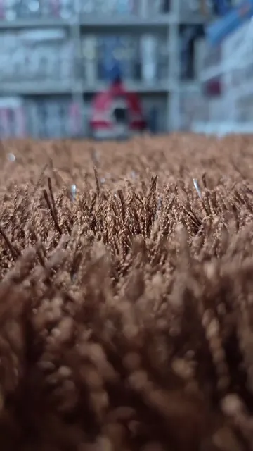 Alfombra Pelo Alto - Video 4